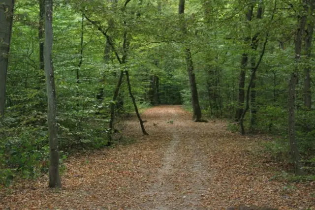 Didactic path “Beetebuerger Bësch"