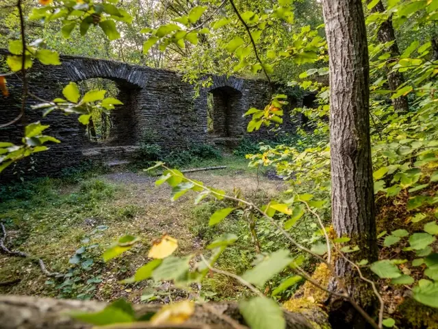 Local hiking trail RB 1 - Eschette