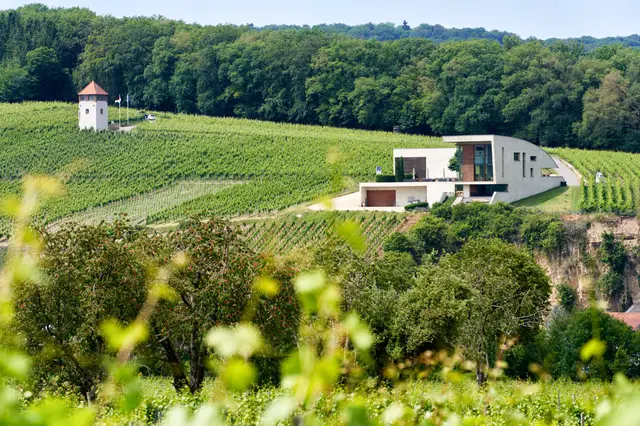 Domaine Henri Ruppert
